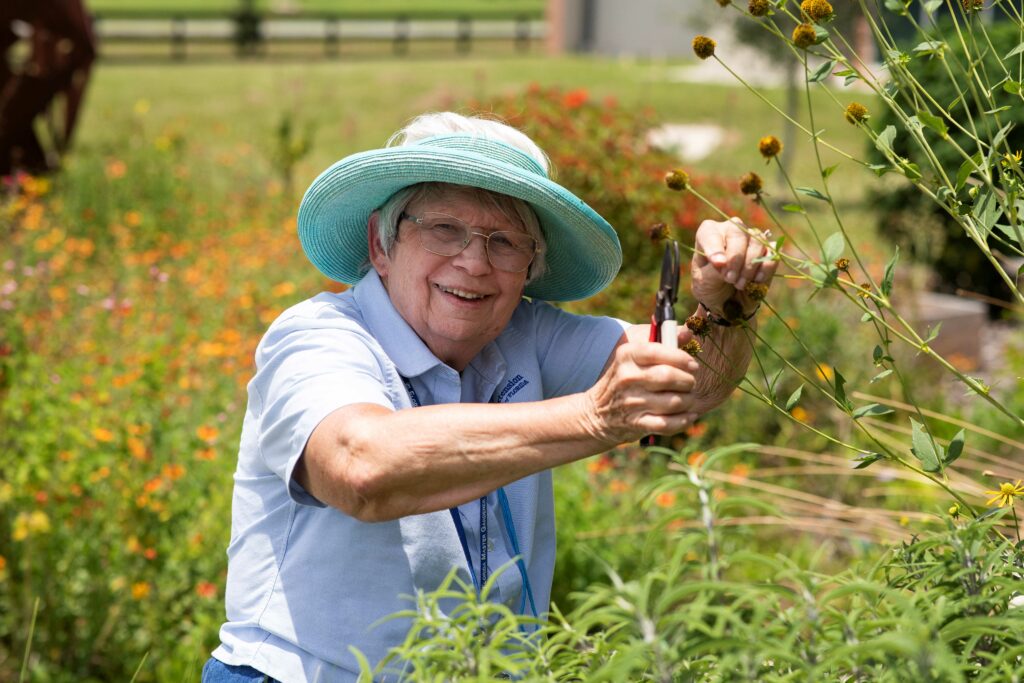 Lois McNamara cuts the head off a flower in a garden.